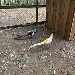 Le Chene 别墅 Aunou-sur-Orne