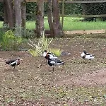 Le Chene 别墅 Aunou-sur-Orne