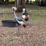 Le Chene Aunou-sur-Orne