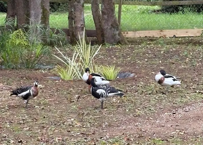 Le Chene 别墅 Aunou-sur-Orne
